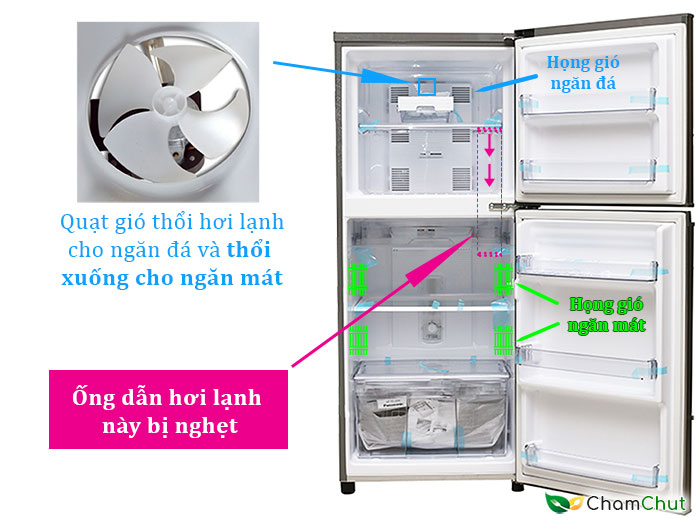 Dịch vụ sửa chữa Tủ Lạnh